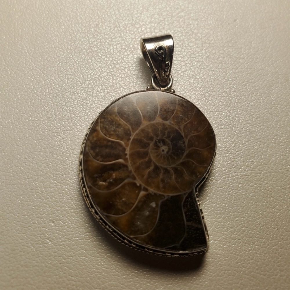Amazing Vintage Sterling Ammonite Pendant - Picture 2 of 11